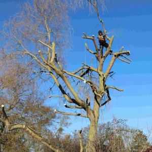 Jean Sony B. (jean habitat)