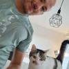 avatar Louis A.<