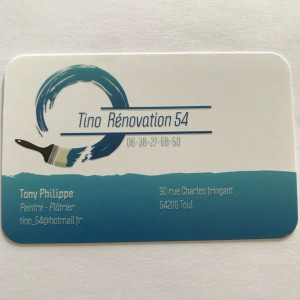 Tony P. (Tino Rénovation 54)