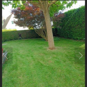 Manuel F. (ML flour)