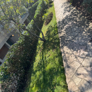 Dylan V. (Vingerder)