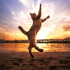 avatar Anne M.<