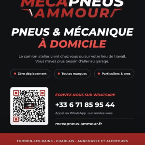 Amine A. (Mecapneus Ammour)