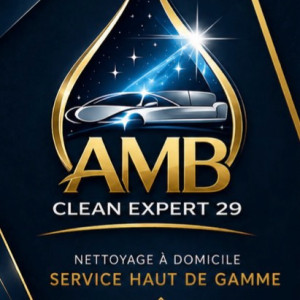 Anthony B. (AMB Clean Expert 29)
