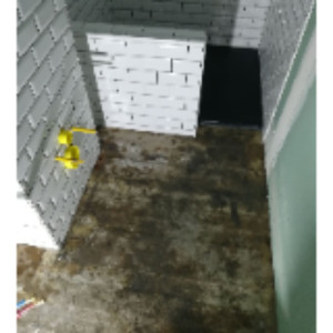 Stephane H. (stephane carrelage)