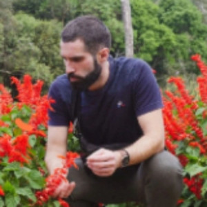 Horizon vert paysage