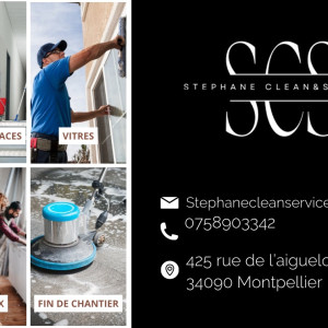 Tchapche Stephane F. (Stephanecleanser...