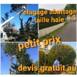 Matt S. (Matt, élagage, espaces verts)