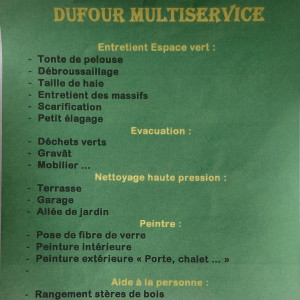 Lionel D. (Dufour Multiservices)