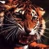 avatar Liliane W.<