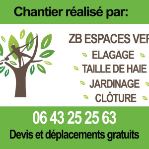 Benjamin Z. (Z.B Espace vert)