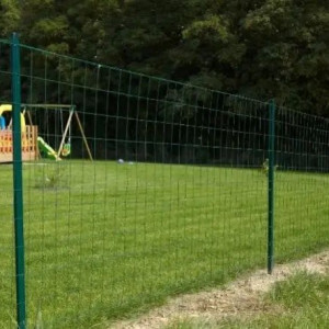 Jean François C. (cuenot jean François...