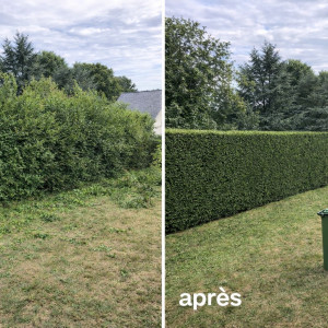 Hugo D. (Hd paysage)