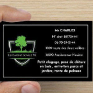 Boris C. (boris atout service 16)