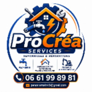 Romain P. (Procréa services)