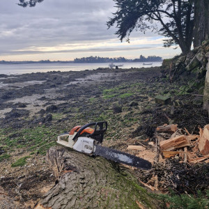 Yoann L. (LE PIMPEC)