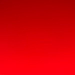 Anthony S. (Le Ramoneur Tarnais)