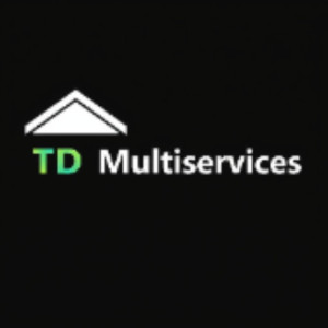 Theo D. (TD Multiservices)