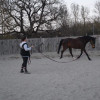 avatar Océane B.<