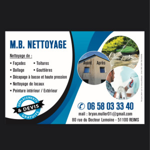 Bryan M. (B.M Netoyage)