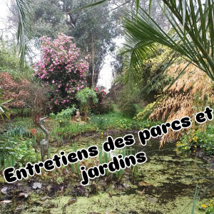 Stéphane S. (Nettoyage & Services)