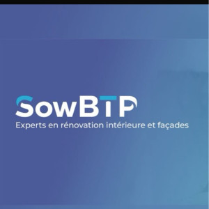 Sarafoudine S. (SowBTP)