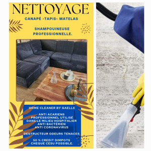 Gaelle P. (Home Cleaner by Gaelle)