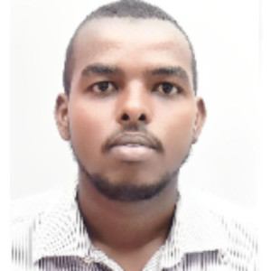 Hamza A. (SAB-ELECTRO)