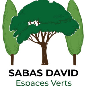 David S. (m.sabas David)