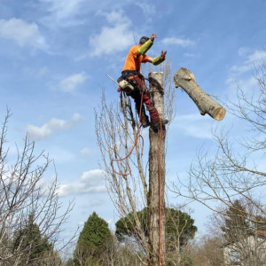 Hugo M. (Arb’Osoin)