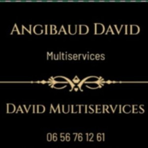 David A. (David Multiservice)