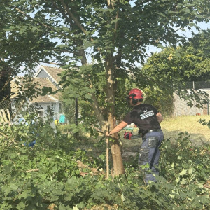 Nicolas F. (NF Prestations)