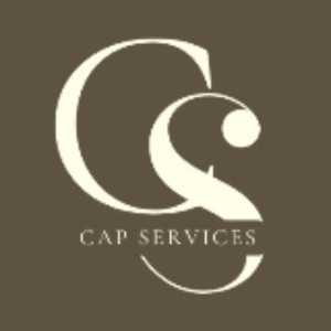 Vladimir D. (Capservices)