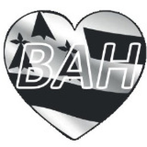 BRETAGNE AMELIORATION DE L'HABITAT