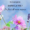 avatar Karine P.<