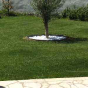 Patrick F. (Multiservice-maisonjardin)