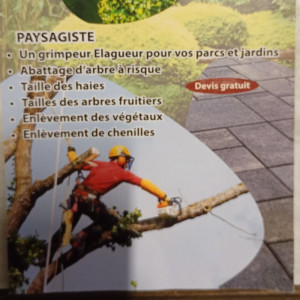 Laurent L. (Jardinier Élagueur Multise...