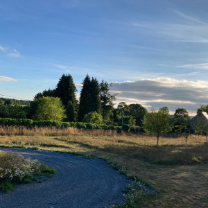 Nicolas F. (ESPACES VERTS NICOLAS)