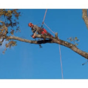 John L. (Lagrainjohn)