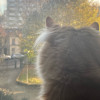 avatar Chloé L.<