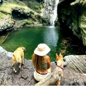 Charlotte R.