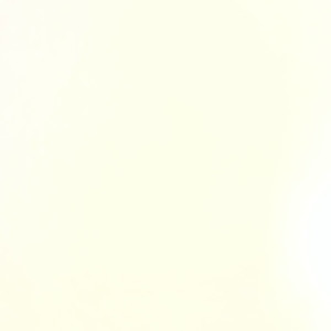 Bryan J. (BBJ SOLUTION)