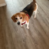 Sandrine H.