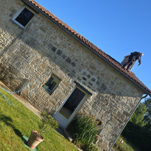 Moise L. (RenovHabitat.L)