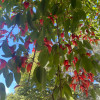 avatar Audrey M.<