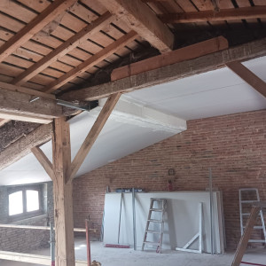 David M. (mdplaquiste)