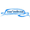 avatar Kevin C. (Car’o Clean)<