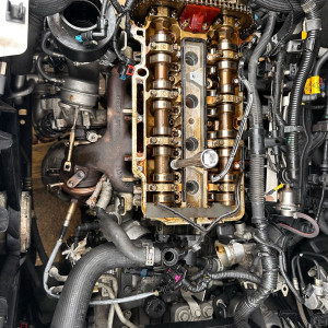 Franck S. (Lion 5 etoilles auto)