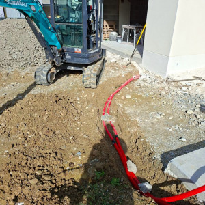 Nadir M. (nadir Tania mayer)