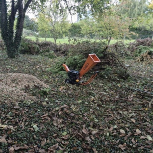 Thibaut W. (Thibaut Wateau)